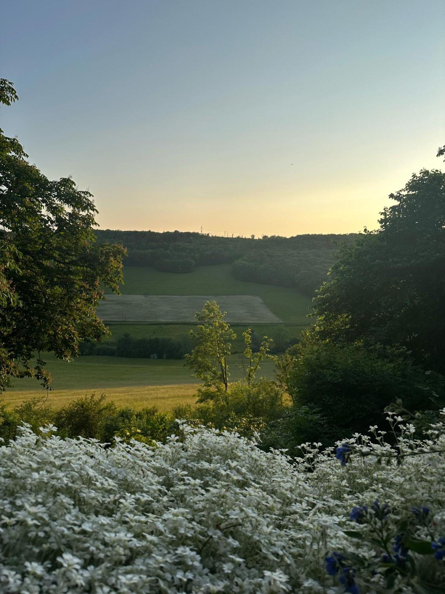 Chateau De Champrenault, Voyagez Dans Le Temps Esterno foto