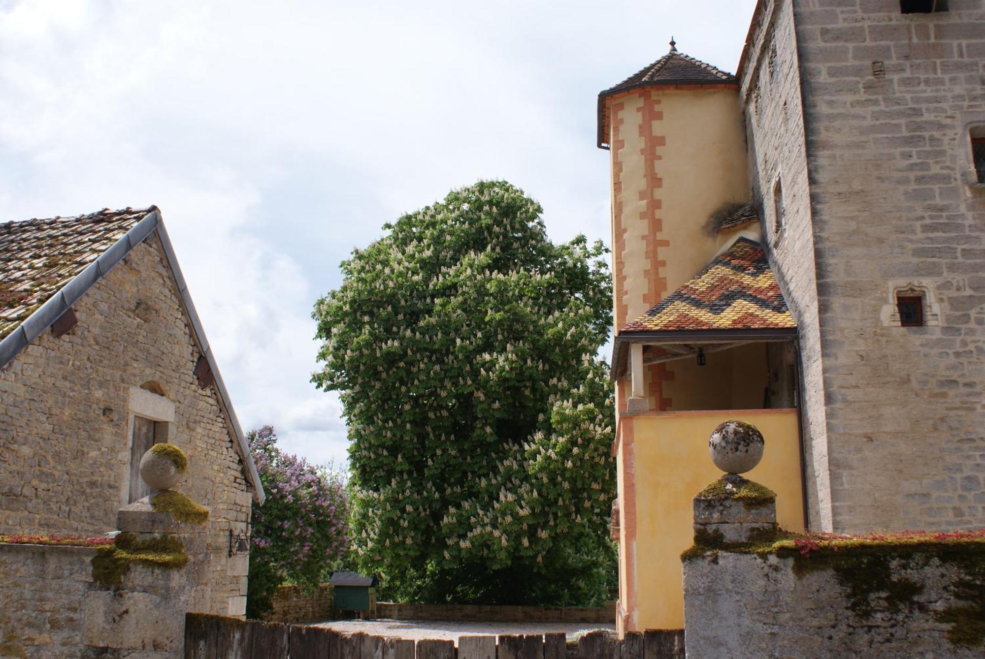 Chateau De Champrenault, Voyagez Dans Le Temps Esterno foto